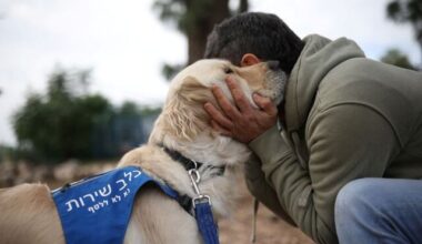 Ghana took in Trump’s deported West Africans. Then it forced them home