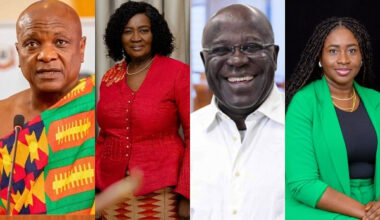 Meet the members appointed to the Presidential Economic Advisory Group