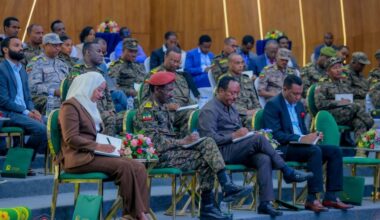 Ethiopia Designates Electromagnetic Spectrum as Key National Security Pillar - ENA English