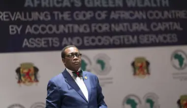 Africa Reframed: The continent’s emerging power brokers plan to shift in its relationship with former colonial powers