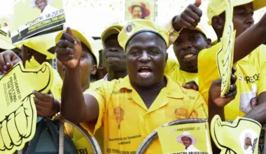 Subscribe Placeholder