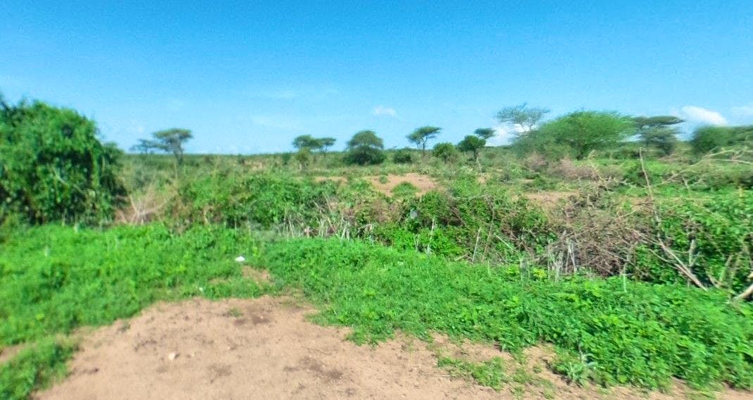 Deux touristes turcs, ainsi que leur chauffeur éthiopien, ont été tués par «des bandits» dans le sud-ouest de l’Ethiopie. (Image d'illsutration)