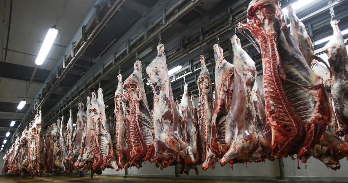 Tanger: l’abattage clandestin de viande met en péril la santé publique