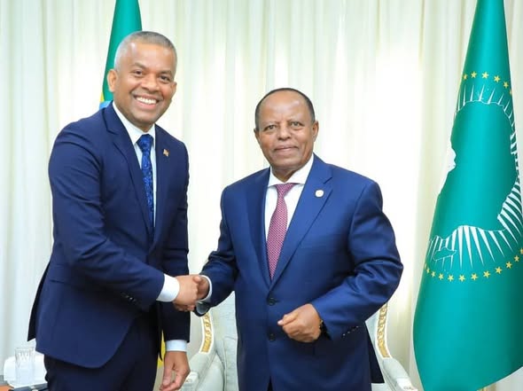 President Taye Atske Selassie Bids Farewell to the Outgoing Sri Lankan Ambassador - ENA English