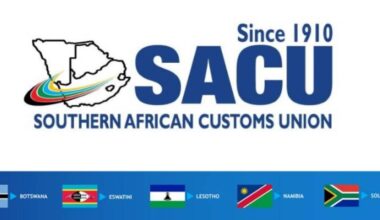 Sacu review overdue – economist