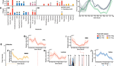 Birth season shapes the infant metabolome and development in Tanzania: a secondary explorative analysis of the early life interventions for childhood growth and development in Tanzania (ELICIT) trial