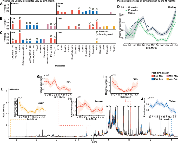 Birth season shapes the infant metabolome and development in Tanzania: a secondary explorative analysis of the early life interventions for childhood growth and development in Tanzania (ELICIT) trial