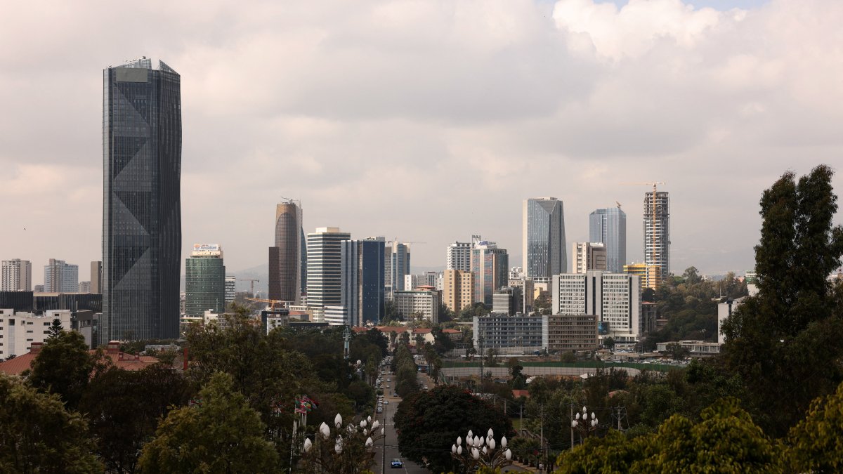 Businessman reportedly among 2 Turkish tourists killed in Ethiopia