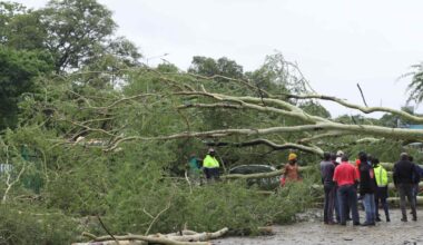 Death toll hits 19 as deadly floods sweep South Africa, Mozambique
