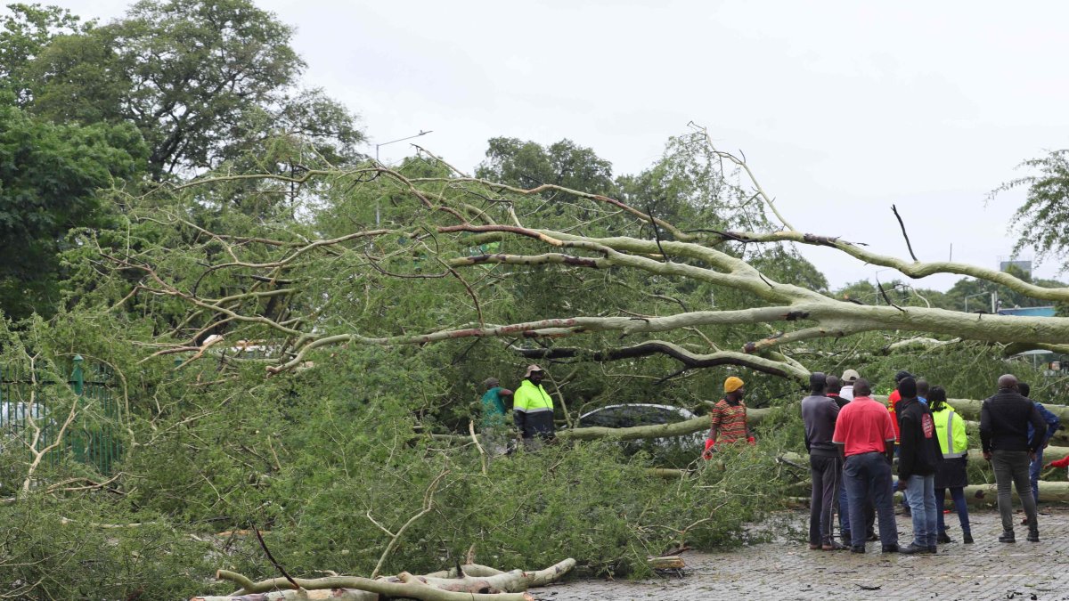 Death toll hits 19 as deadly floods sweep South Africa, Mozambique