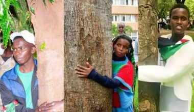What is driving Kenya’s tree-hugging craze & what those planning attempt should know