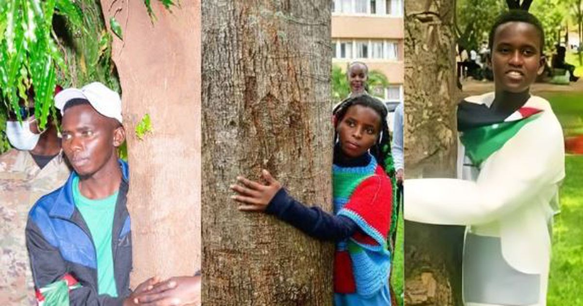 What is driving Kenya’s tree-hugging craze & what those planning attempt should know