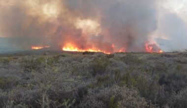 Western Cape wildfires force evacuations as smoke, wind and flames batter coastal towns