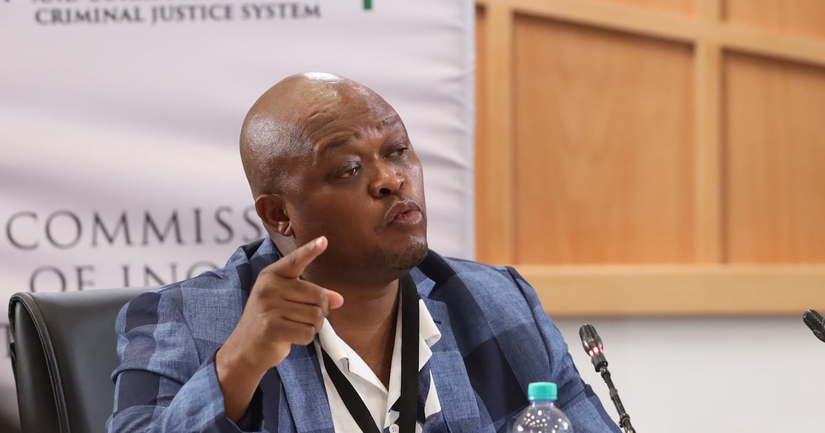 Brown Mogotsi demands parliament fund his private security for ad hoc committee appearance