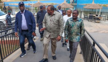 [PHOTOS] Uhuru, Kalonzo engage young African leaders in Lagos