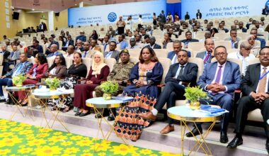Ethiopia Building Robust Health Regulatory System - ENA English