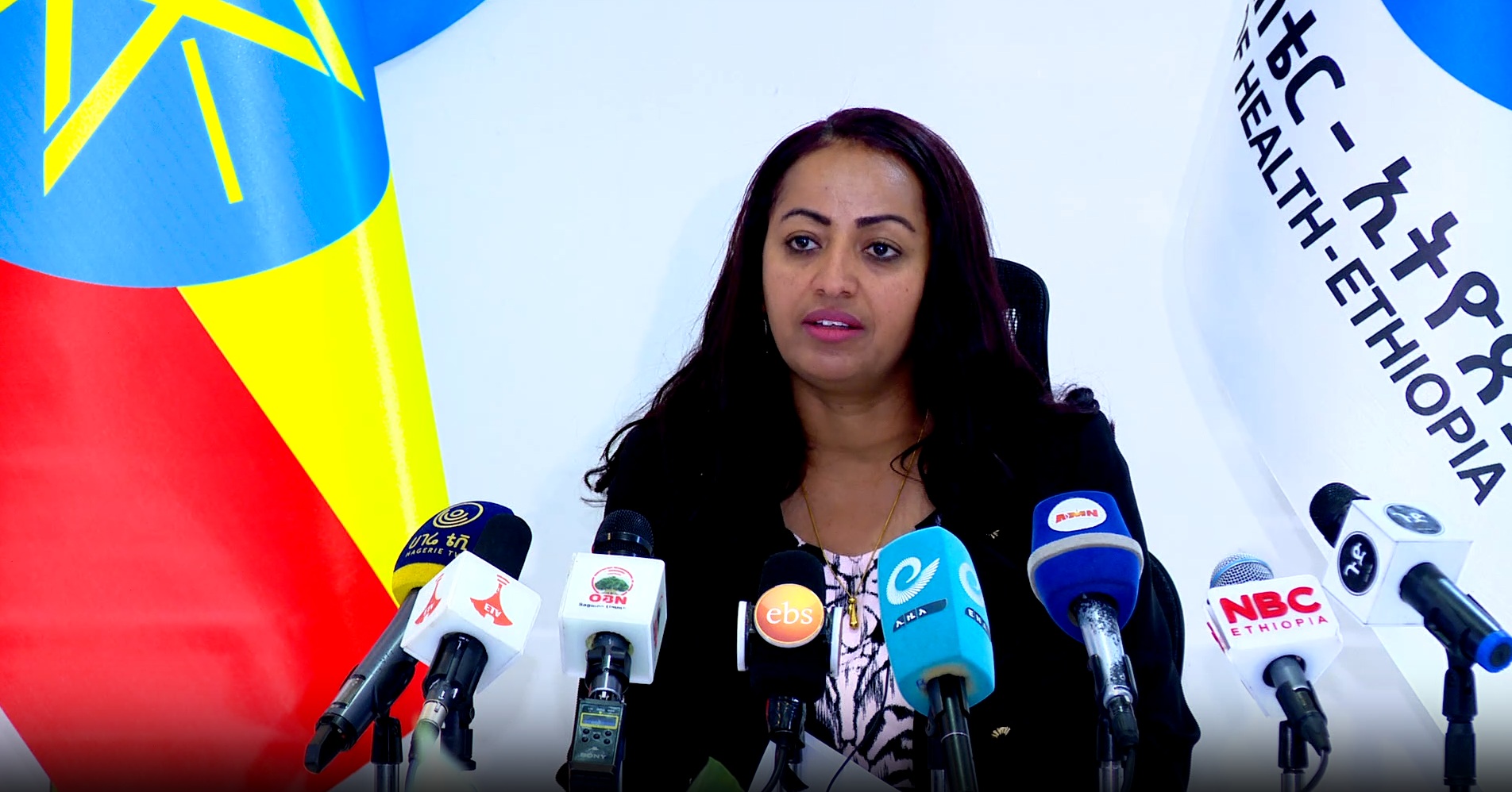 Ethiopia Achieves Significant Reduction in Maternal, Infant Mortality: Ministry of Health - ENA English