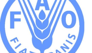 Food and Agriculture Organization of the United Nations (FAO): Regional Office for Africa