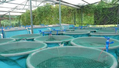 Des projets structurants pour booster l’aquaculture d’ici 2027