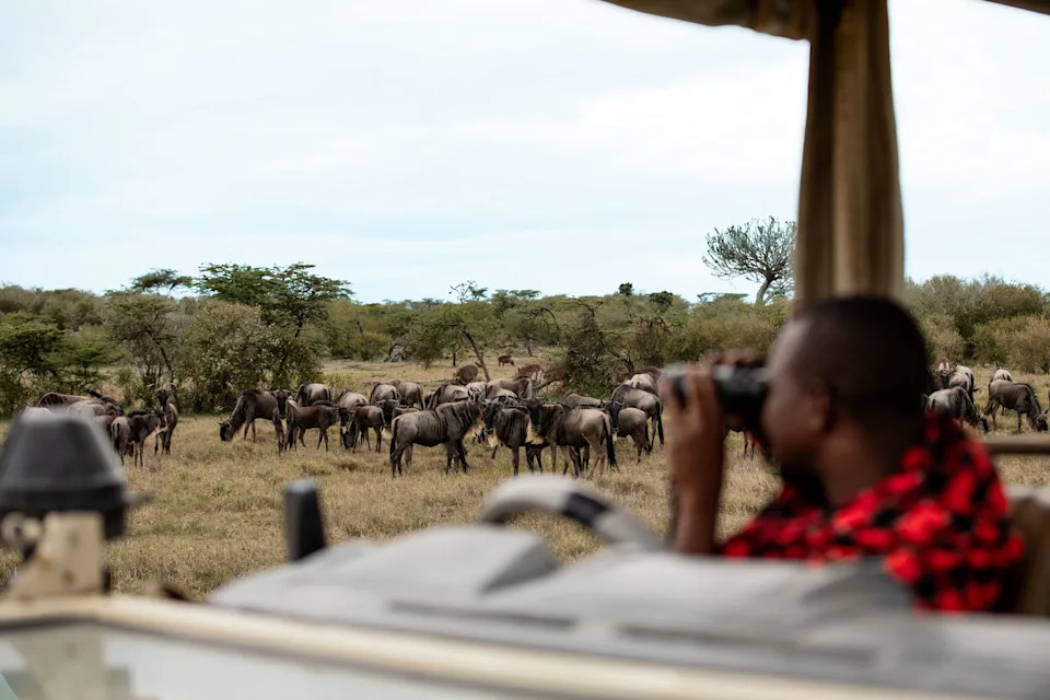 A game drive at Mahali Mzuri, Kenya