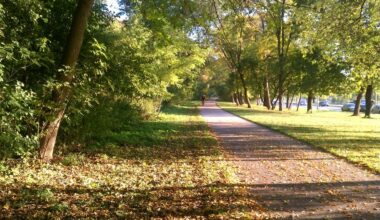 A thought to begin 2026...