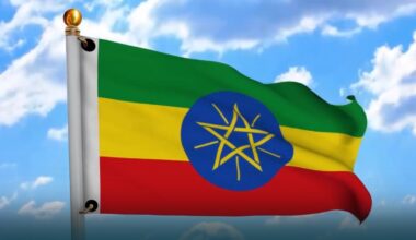 Civil Society Organizations Pledge Active Role in Ethiopia’s National Dialogue Final Phase - ENA English