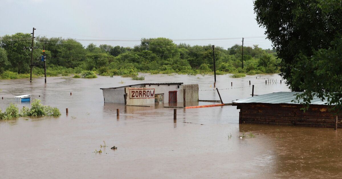 Horror in South Africa as 30 killed in natural disaster | World | News