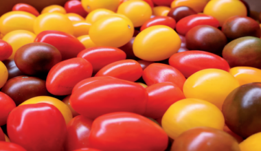 Maroc–UE : un partenariat clarifi é et une coopération relancée