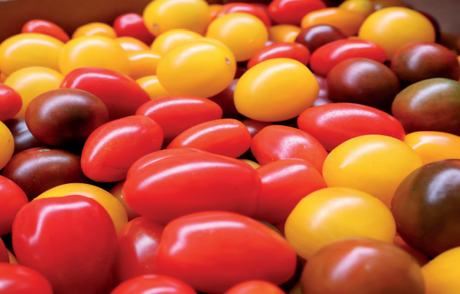 Maroc–UE : un partenariat clarifi é et une coopération relancée