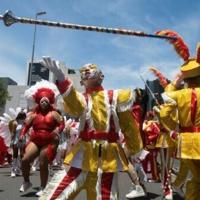 Thousands attend annual minstrel parade in S.Africa's Cape Town | National