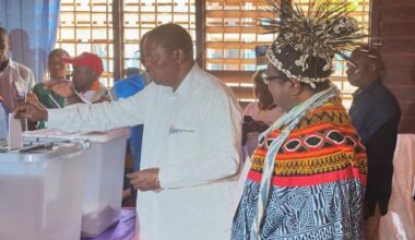 Central Africa Republic President Faustin Archange Touadéra reelected, provisional results show | National News