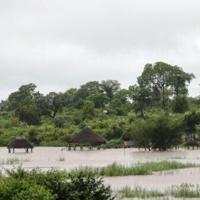 South Africa's Kruger park suffers 'devastating' damage from floods | National