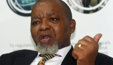 Mantashe roasted over ‘basking in the sun’ unemployment remarks