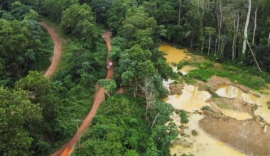 Ghana bans mining in forest reserves to curb environmental damage