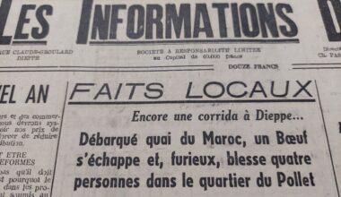 un bœuf sème la panique sur le port de Dieppe et tombe de la falaise