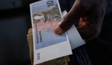 Zimbabwe inflation drops to single digits for first time in decades