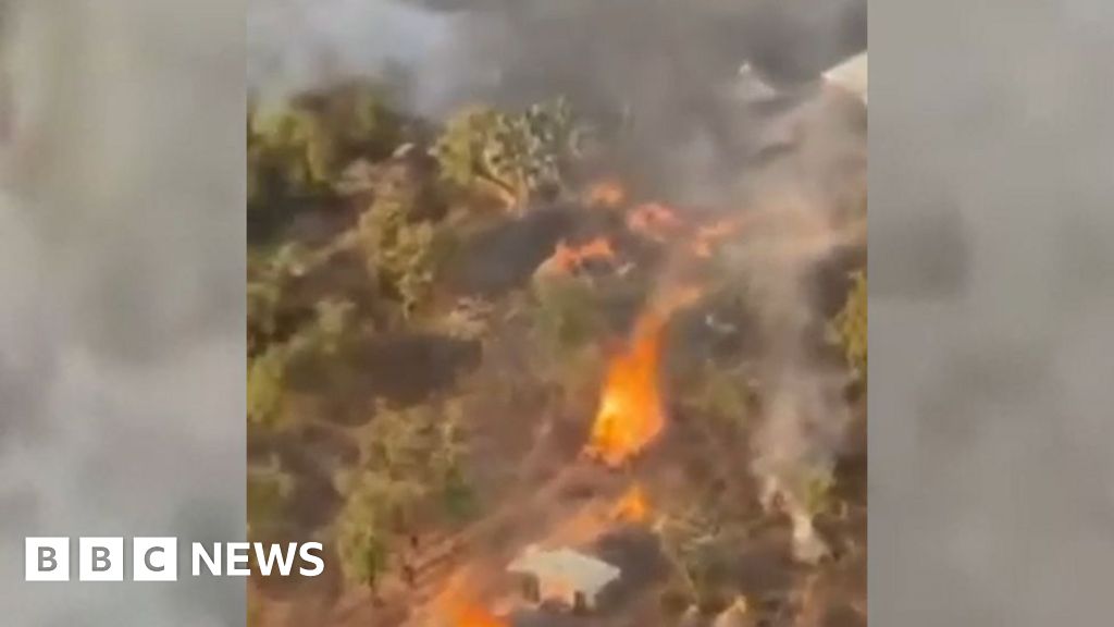 Nigeria kills '200 bandits' in operation against kidnapping gang