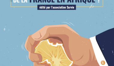 Que reste-t-il des intérêts économiques de la France en Afrique ?