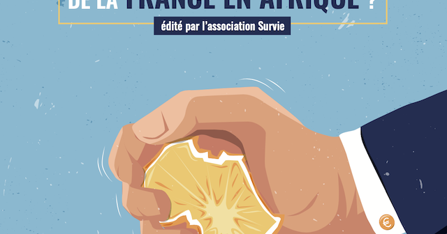 Que reste-t-il des intérêts économiques de la France en Afrique ?