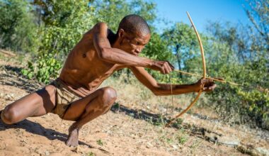 On chassait déjà avec des flèches empoisonnées il y a 60 000 ans en Afrique