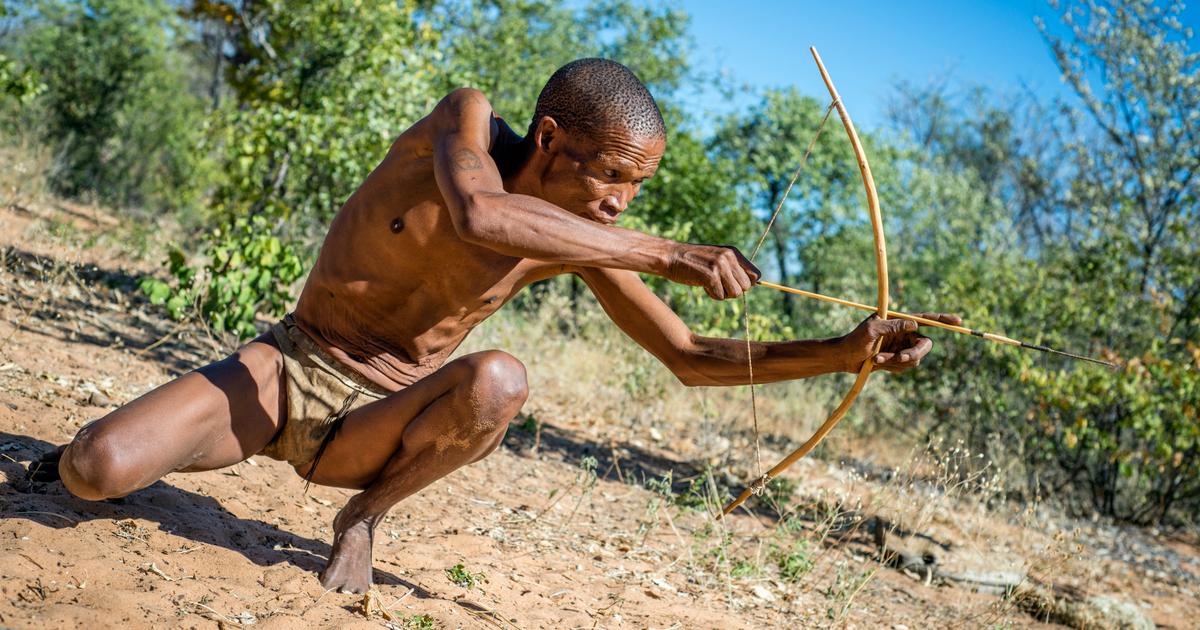On chassait déjà avec des flèches empoisonnées il y a 60 000 ans en Afrique