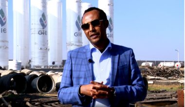 Ethiopia Making Giant Strides in Mining Sector: Minister  - ENA English