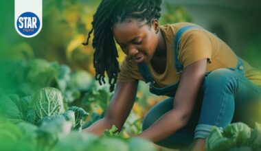 Four million bags of fertiliser coming, state tells farmers