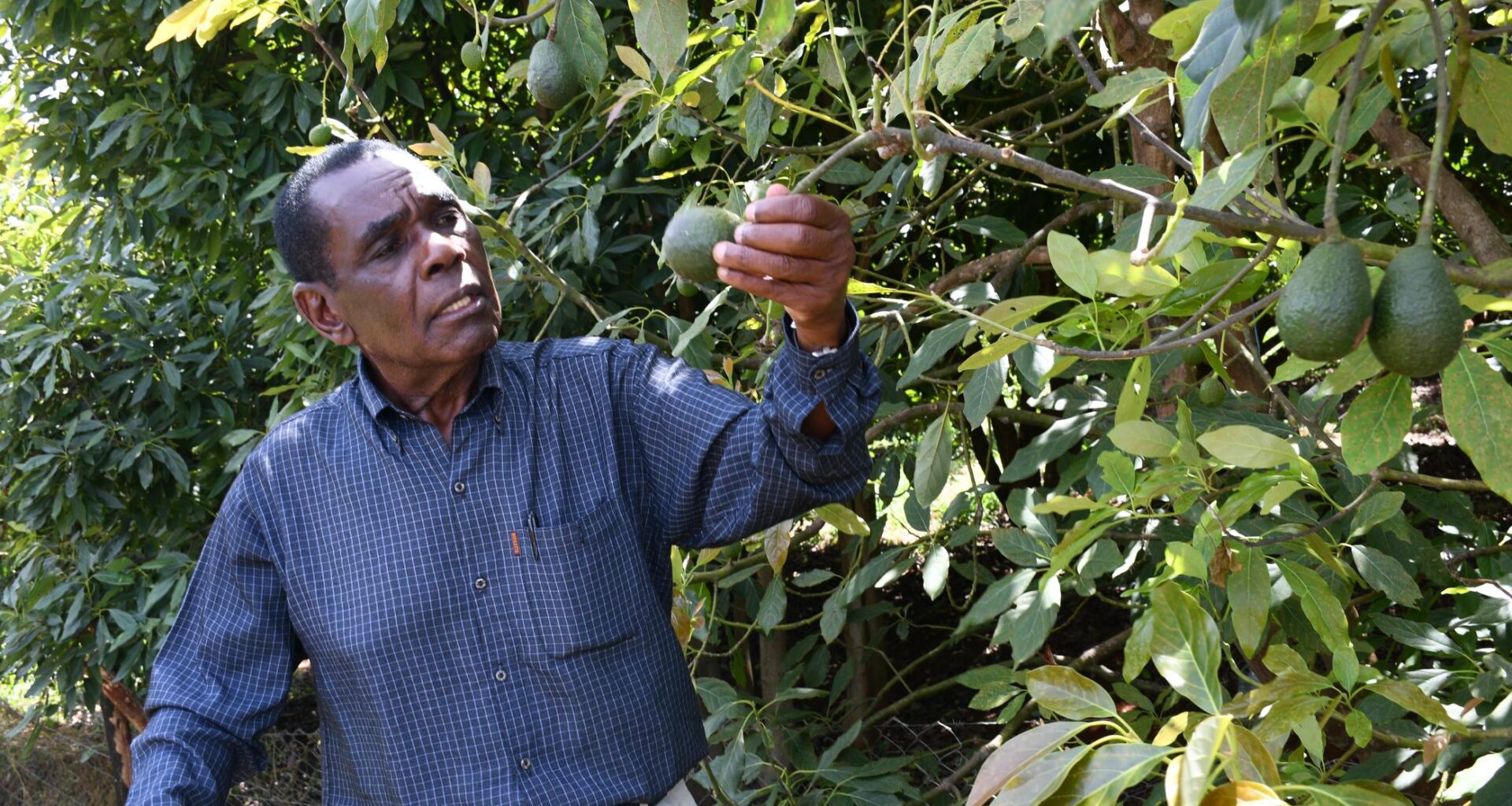 First time Raila used presidential Jet amid fight with Moi