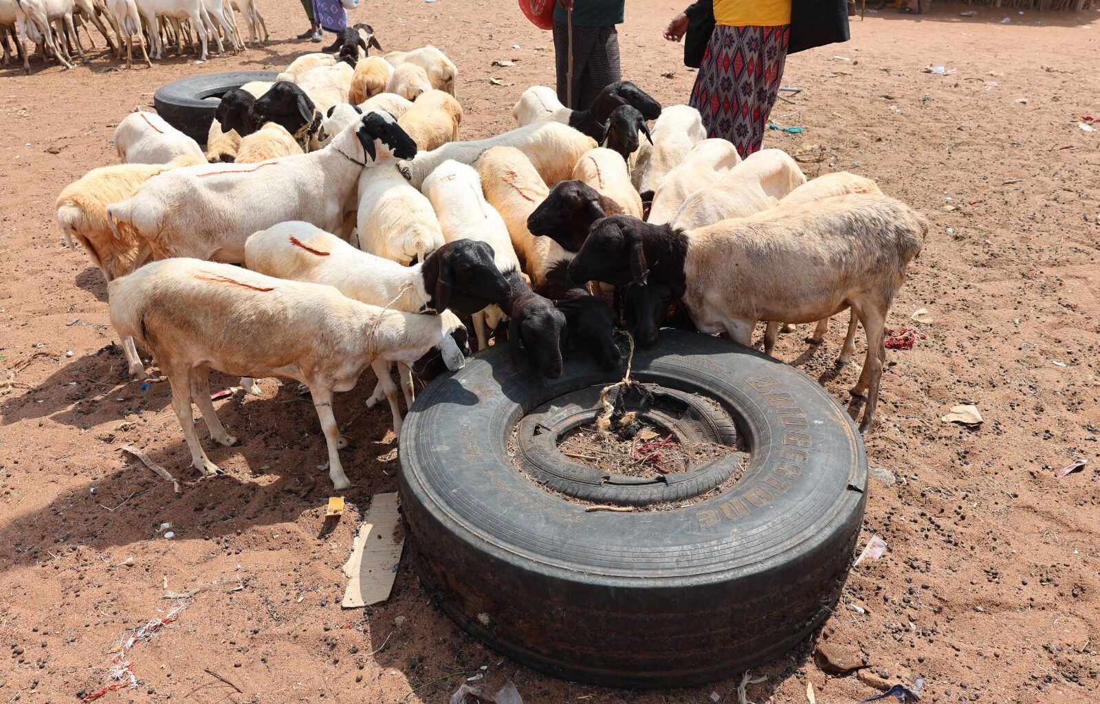 2026 school reopening dates, academic calendar