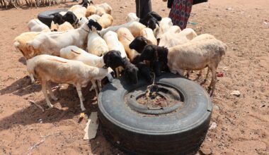 2026 school reopening dates, academic calendar