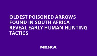 Oldest Poisoned Arrows Found in South Africa Reveal Early Human Hunting Tactics | Ukraine news