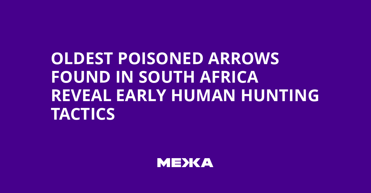 Oldest Poisoned Arrows Found in South Africa Reveal Early Human Hunting Tactics | Ukraine news