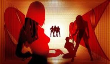 Cinq personnes arrêtées dans un réseau de production de vidéos pornographiques, 152 vidéos saisies