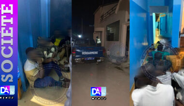 Niacourab – Tivaouane Peulh: un réseau Qnet démantelé …24 victimes et 8 malfaiteurs arrêtés